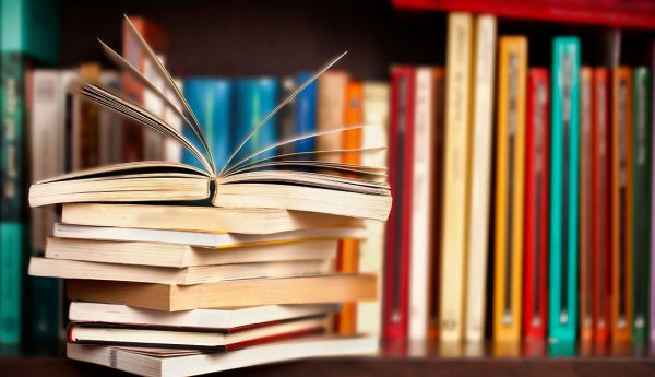 buku teori organisasi