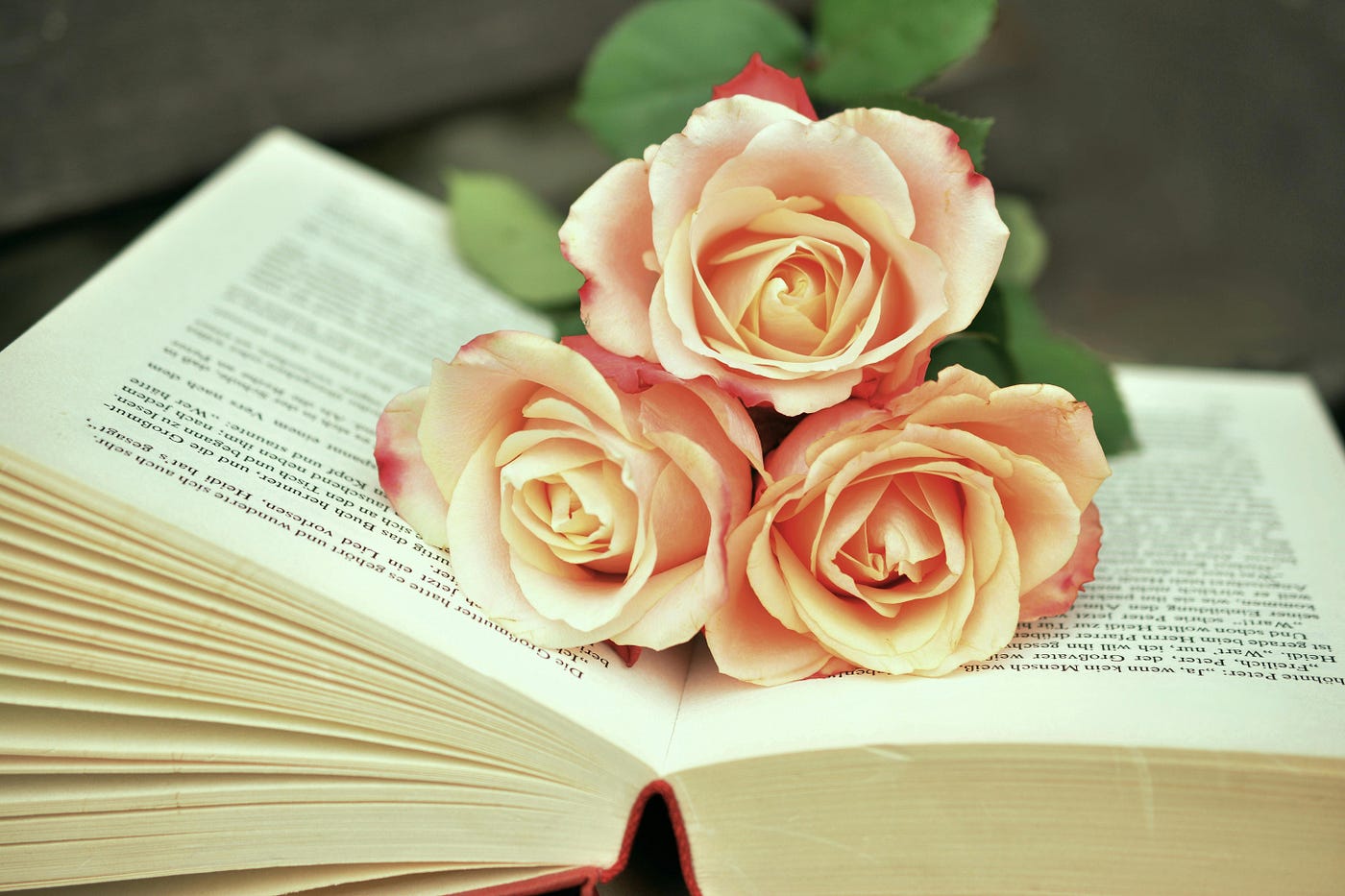 roman romantis