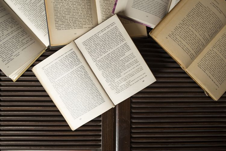 pengertian novel dan roman