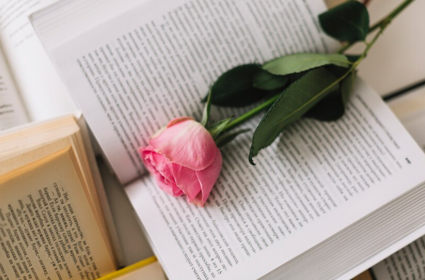 novel klasik romantis