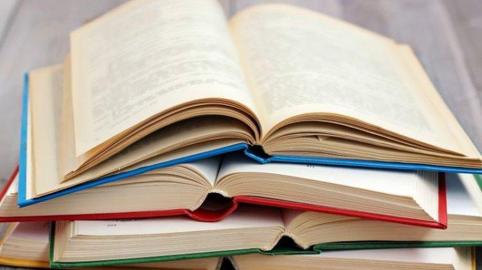 jenis karya sastra roman